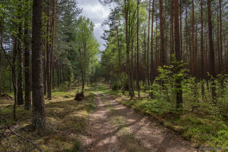 Ogrodził jezioro metalową siatką