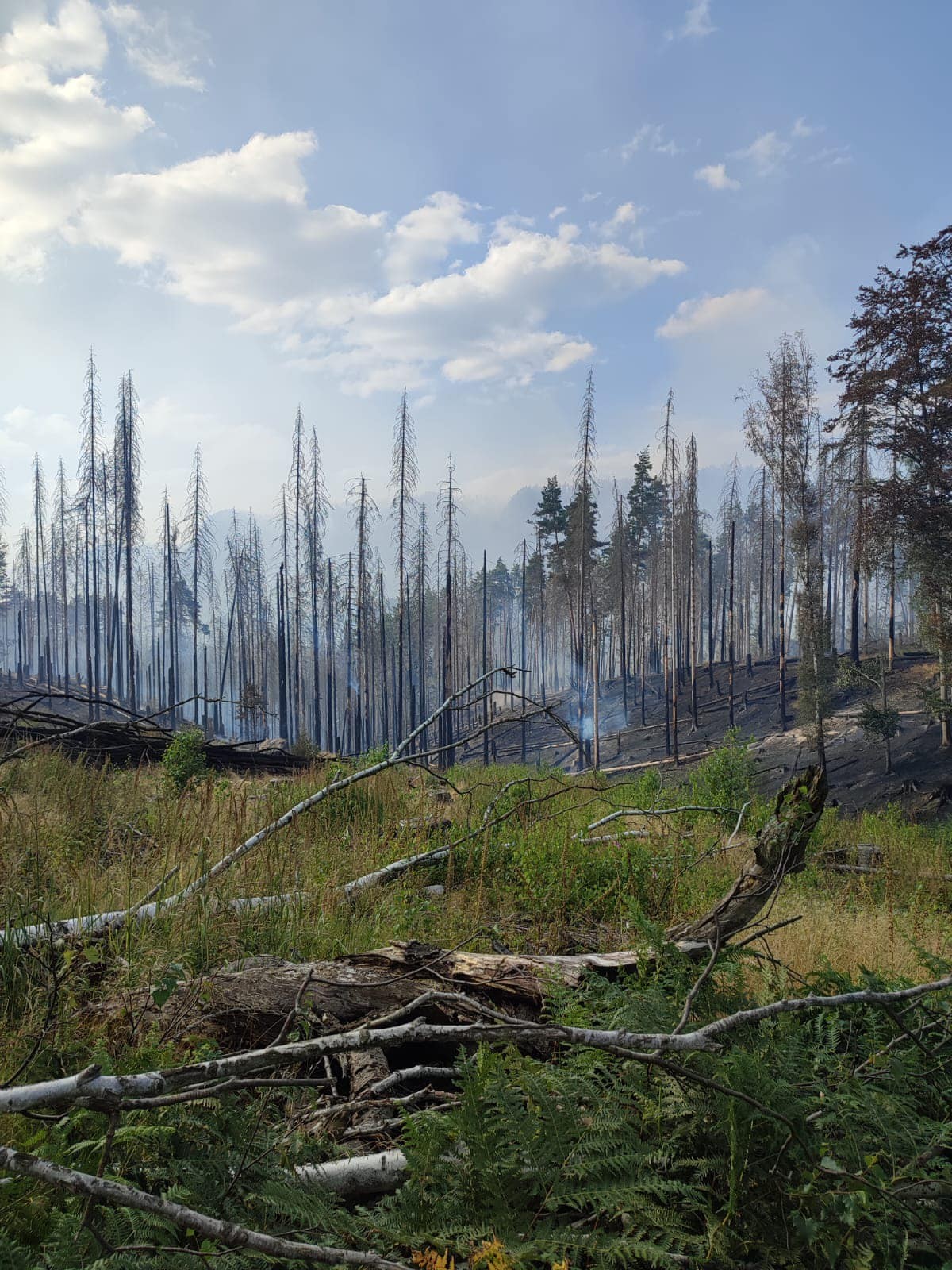 Hasenie požiarov v Národnom parku České Švajčiarsko.