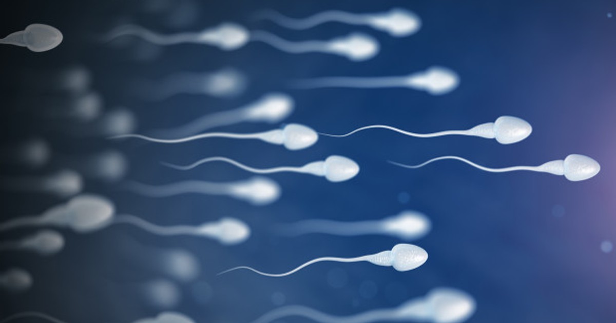 5 causes of watery semen Pulse Nigeria