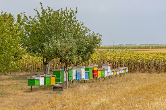 Važno upozorenje Ministarstva poljoprivrede: Ovo je trenutno strogo zabranjeno, a koristimo u dvorištu i njivi