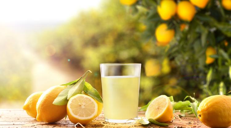 Kétszer annyi citromlevet kapsz, mint eddig Fotó: Getty Images