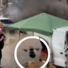 Ruski dron napada prodavca na pijaci 