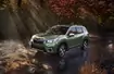 Nowe Subaru Forester