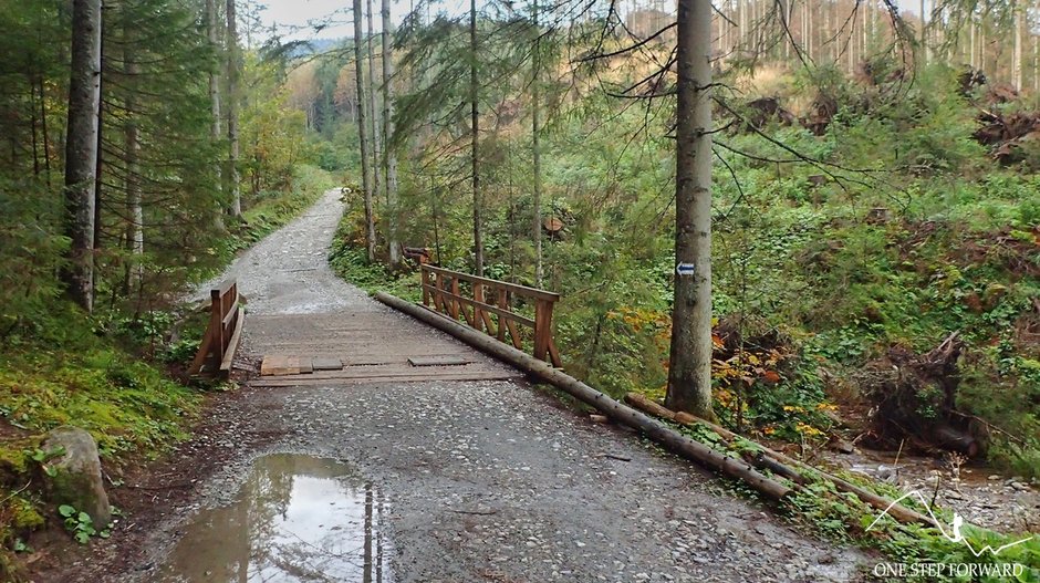 Szlak na Rusinową Polanę prowadzący przez Dolinę Filipka