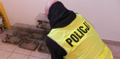 Policjanci dostali niepokojące zgłoszenie. Kiedy weszli do mieszkania 55-latka, osłupieli