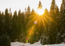 temperatura wystrzeli do 15°c. po ciepłych dniach przyjdzie śnieżny paraliż imgw prognoza pogody długoterminowa kalendarz