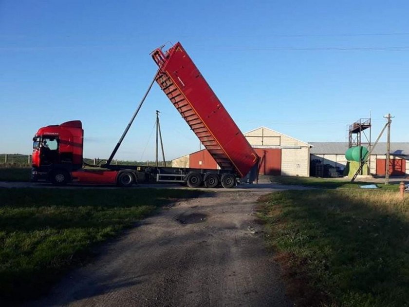 Tragedia w Kędrzynie. Prąd zabił kierowcę