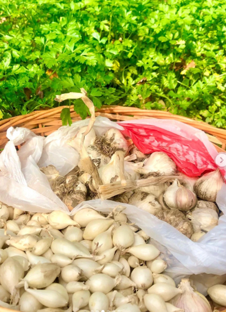 Slavica Rokvić u bašti