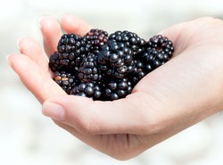 „Im ciemniej na naszych talerzach, tym będziemy silniejsi i zdrowsi”