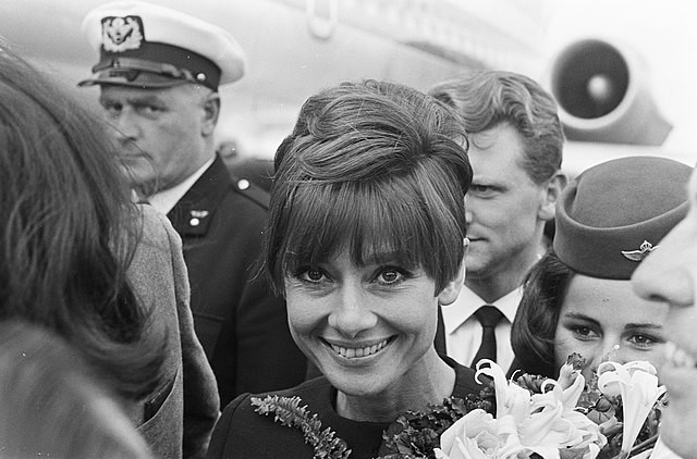 Przylot do Holandii, 1966