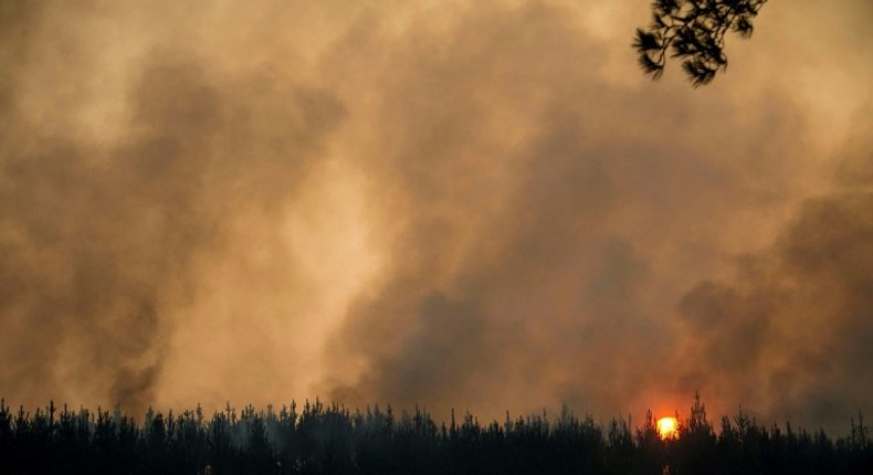 View of a forest fire in Llico, 250 km south of Santiago, on January 27, 2017