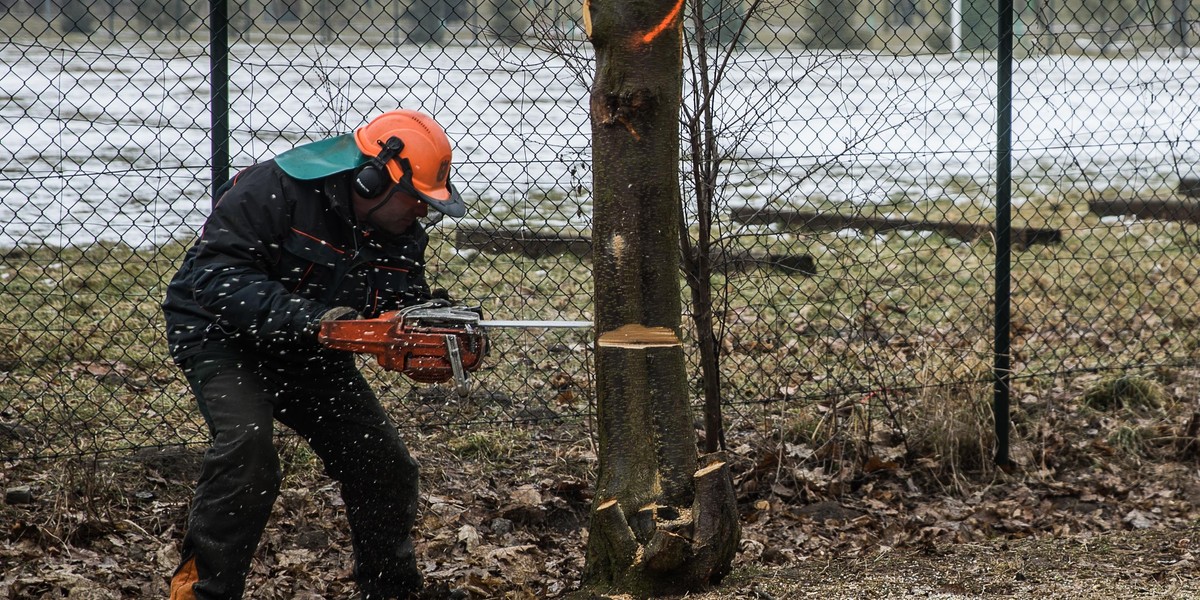 Ruszają prace w przyszłym Parku Rataje