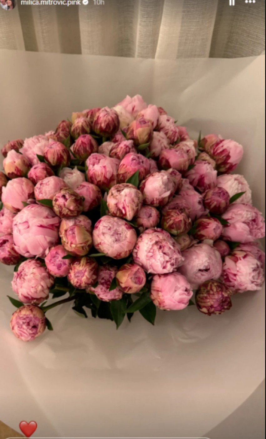 Milica Mitrović proslavila rođendan u Londonu