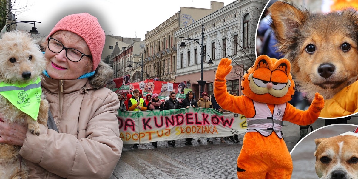 Parada Kundelków w Łodzi. Adoptuj (S)łodziaka - zachęcali organizatorzy