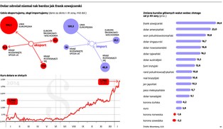 Nadchodzi walutowe tsunami? To nie frank, a mocny dolar najbardziej uderzy w polską gospodarkę