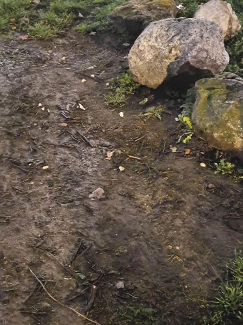 Sumnjive supstance na Kalemegdanu