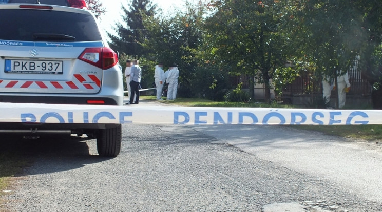 Társa is volt a zsámboki gyilkosnak /Fotó:Police.hu