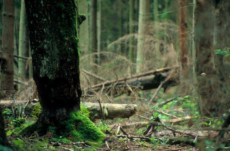 Najpiękniejsze krajobrazy Polski