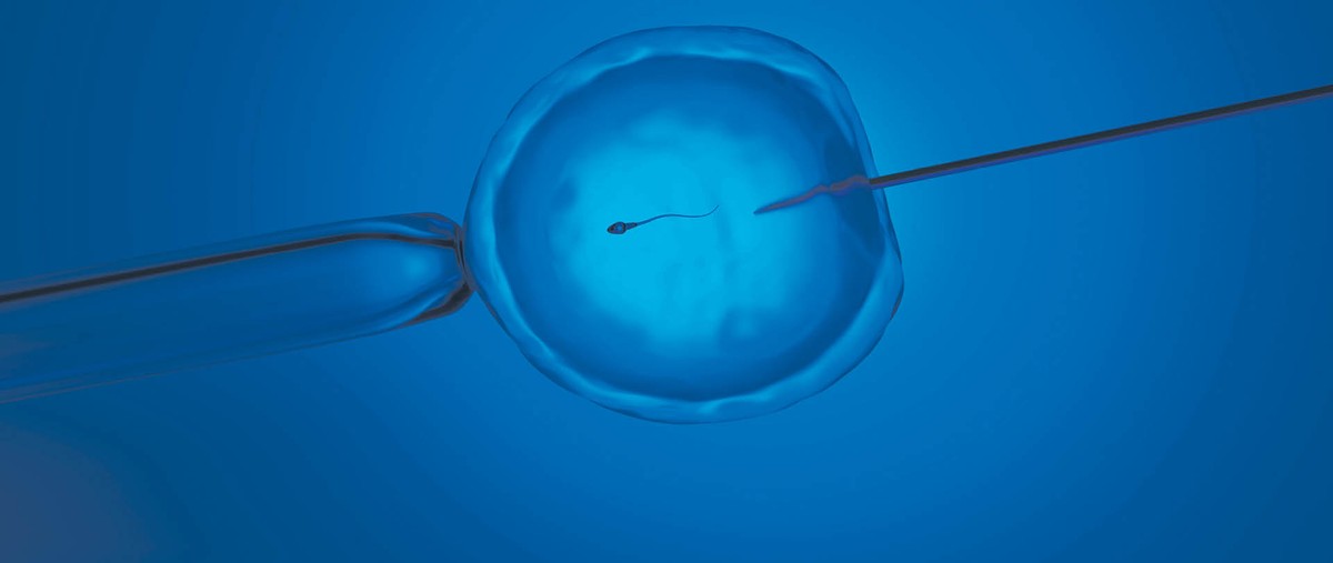 Zadaniem lekarza jest takie dopasowanie zarodka do adopcyjnych rodziców, by istniało fizyczne podobieństwo między nimi.