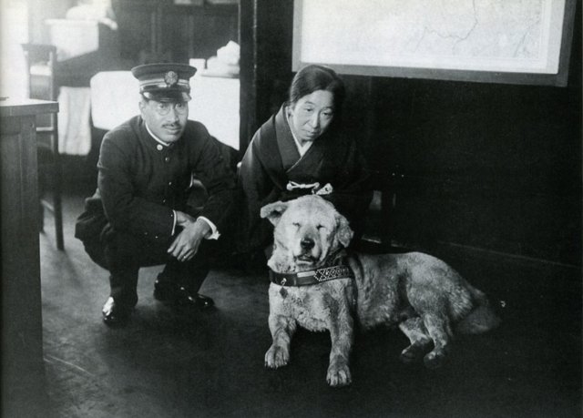 Hachiko na stacji Shibuya w 1933 r. Mężczyzna na zdjęciu to zawiadowca stacji. Fot: Wikimedia Commons.