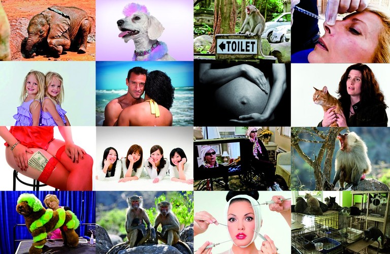 Jesienna ramówka TVN Style