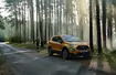 Ford EcoSport (2013-2022)