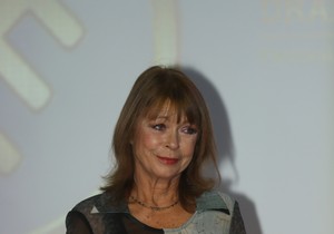 Neda Arnerić