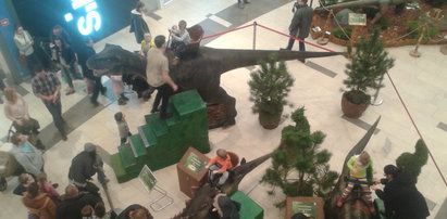 Dinozaury chodzą po galerii