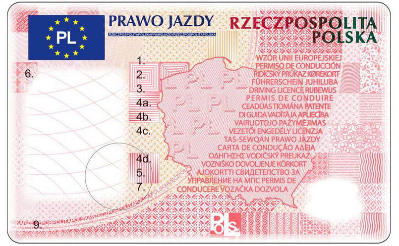 Prawo jazdy - wzór