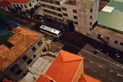 Najniebezpieczniejsze lotnisko świata, wyspa kwiatów i polskie wątki. Madera jakiej nie znacie. GALERIA