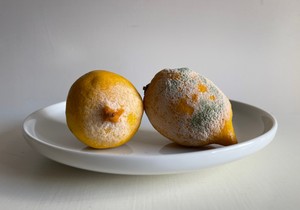 Kako čuvati limun da ostane svež, sočan i pun soka duže od tri nedelje