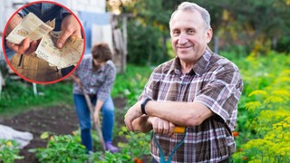 Miła niespodzianka od rządu dla rolników: dostaną 2400 zł za każdy hektar. Nowe świadczenie ma zrekompensować utracone korzyści