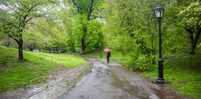 Kuriozalne sceny w Szczecinie. Ludzie pytają o sens i logikę. Miasto odpowiada