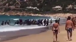 pragmatyzm wygrywa z populizmem. hiszpania masowo legalizuje pobyt imi