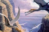 Flying pterosaurs