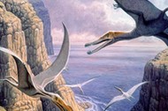 Flying pterosaurs