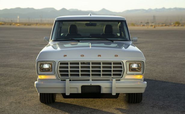 Ford F-100 Eluminator