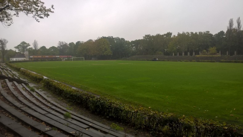 Murawa na stadionie przy ulicy Parkowej