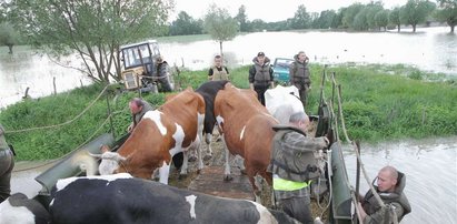 Śmierć, głód i zaraza. Jak mamy teraz żyć?