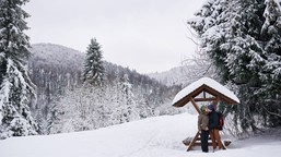 zima uderzy tam, gdzie nikt się jej nie spodziewa. śnieg zasypie drogi przed świętami 2025. czy polskę pokryje biały puch? imgw prognoza pogody długoterminowa
