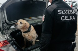 Służba Celna na równi z wojskiem? RPO apeluje do MON o zmiany w emeryturach