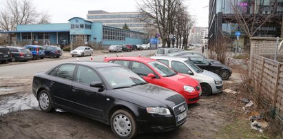 Będziemy karać kierowców parkujących na trawie