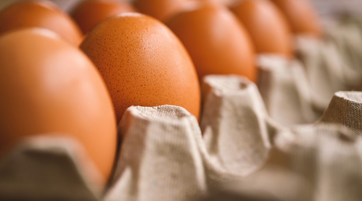 Már van olyan bolt, ahol egyáltalán nem lehet tojást kapni / Fotó: Pixabay