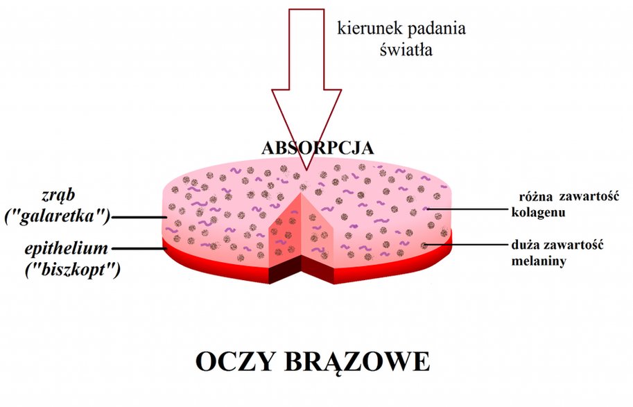 Oczy brązowe