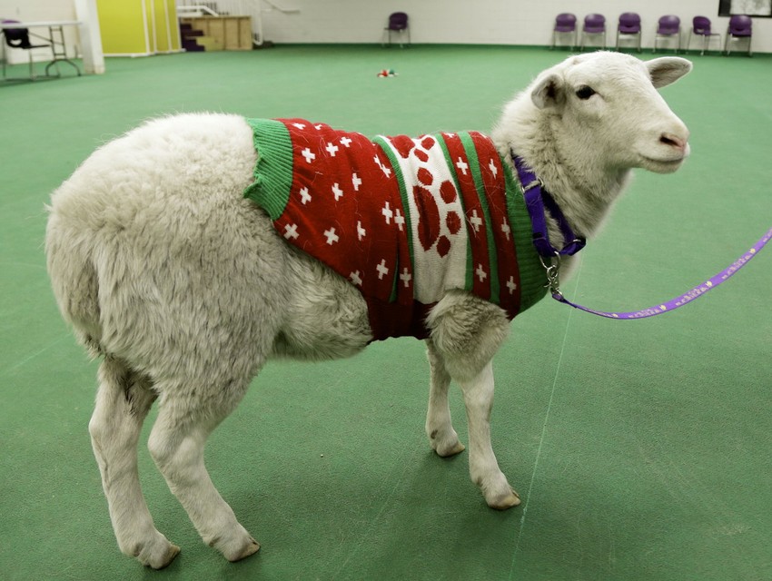 Ovan Gejdž je od sada više vremena provoditi kod kuće