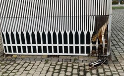 Park Sabat Krajno szuka wandala. Wyznaczono nagrodę