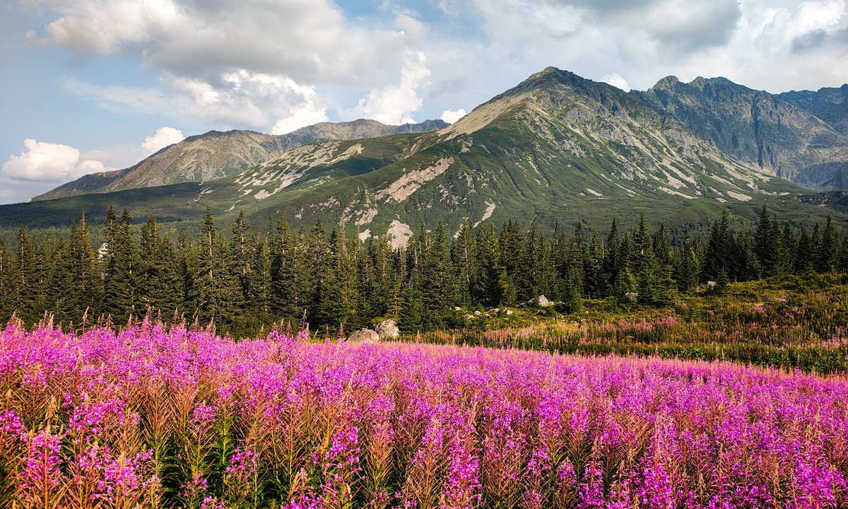 Znasz Polskę jak własną kieszeń? Udowodnij to w naszym quizie