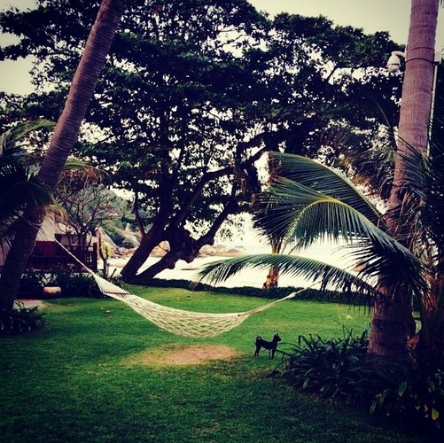 azjatyckie wakacje Edyty Górniak