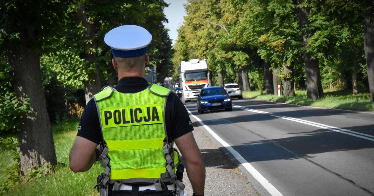  To już pewne. Za znakiem D-43 policjanci będą zabierać prawa jazdy i kierować na kursy