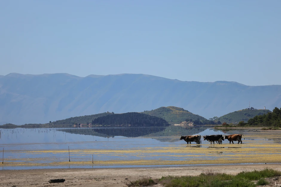 Lokacija odmarališta Džareda Kušnera u području lagune Narta, Albanija